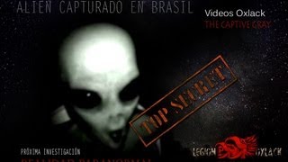 Alien Capturado en brasil Oxlack COMPARTELO