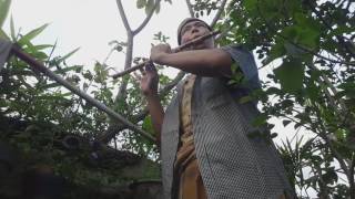 Suara Suling Surogading Otodidak Caver Lagu Bengawan Sore