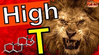 Signs Of High Testosterone Levels in Men