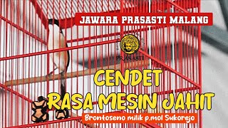 Cendet Terbaik Pasuruan Jawara di Gantangan Prasasti Malang