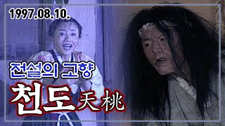 97 신판 전설의 고향 천도 | 김태우 윤손하 KBS 1997.08.10. 방송