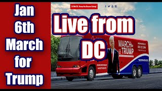 BuzWeaver Live Stream