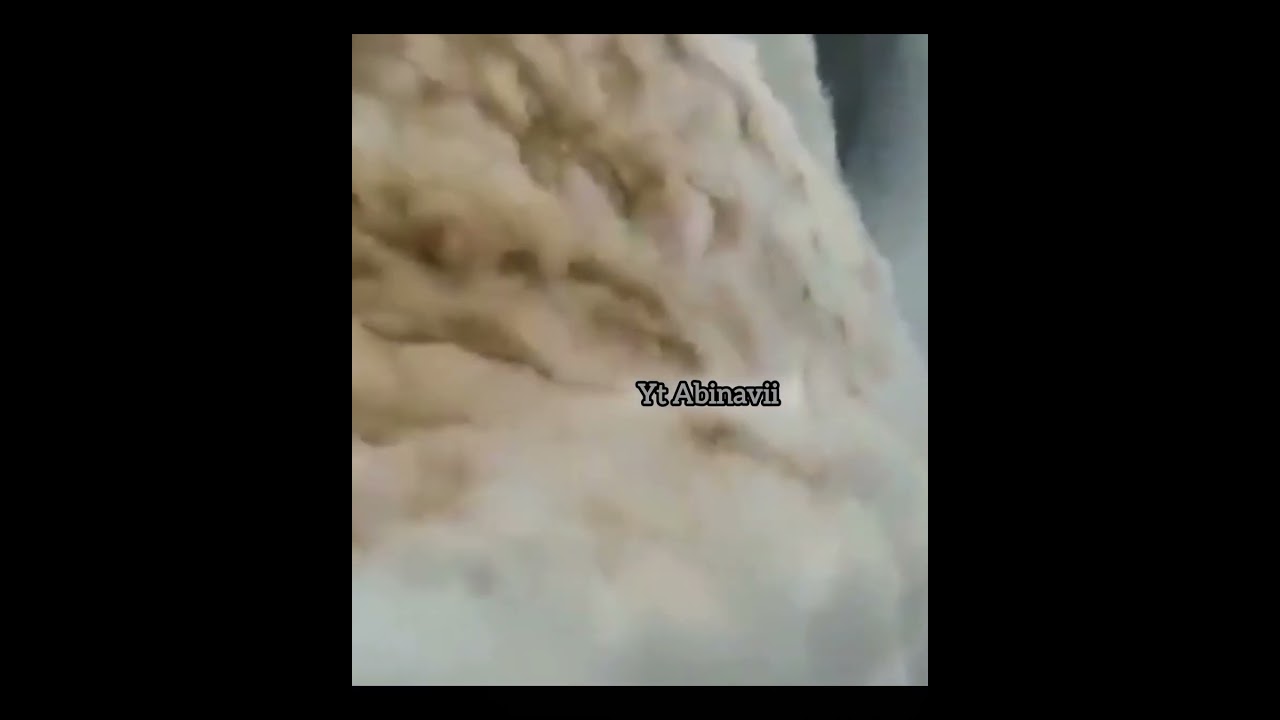 breaking news Kerala