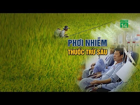 Video: Kiểm Soát Dịch Hại Mà Không Cần Thuốc Trừ Sâu