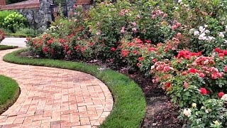 The Rose Garden of the Biltmore Estate, July 2015 Asheville, NC, USA