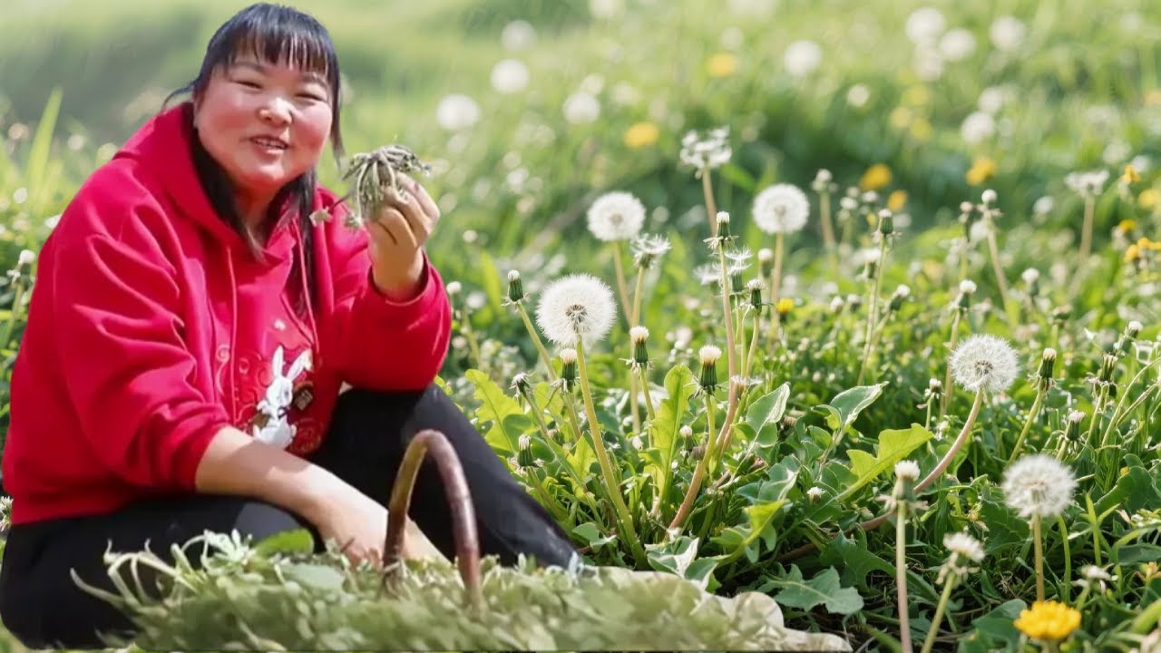 【陕北霞姐】蒲公英做的包子你吃过吗？霞姐用鸡蛋和猪肉搭配拌馅，咬一口鲜香爆汁！