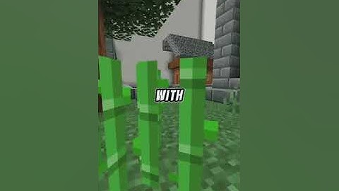 People who bought a house. What is the weirdest thing you have found left by the previous owner?