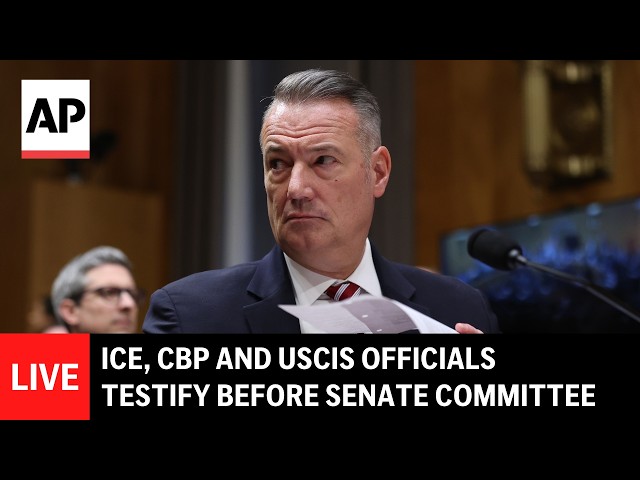 LIVE: Senate committee hears from immigration officials