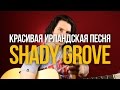 Как играть красивую ирландскую мелодию на гитаре Shady Grove - Уроки игры на гитаре Первый Лад