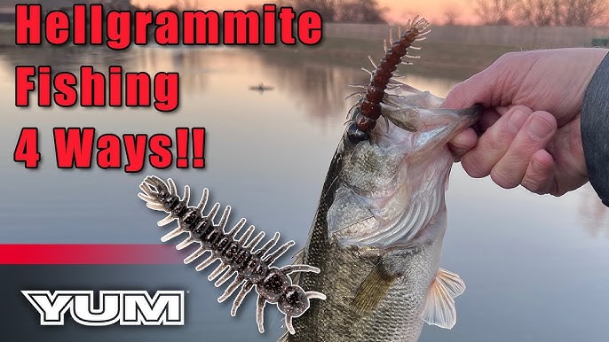 Greatest New Rig You Probably Haven't Used Yet - YUM Baits 
