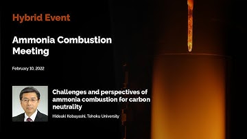 Challenges and perspectives of ammonia combustion for carbon neutrality