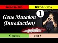 Gene Mutation| L1| Introduction| Genetics| 3rd sem botany| GU| Dr. Rajib Borah| Assamese| Axomia Bio