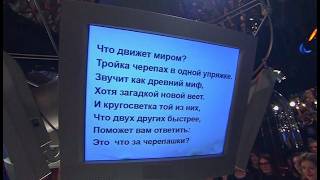 Что? Где? Когда? Вопрос о загадочных черепашках
