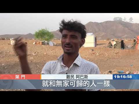 被恰特草吞噬的生命