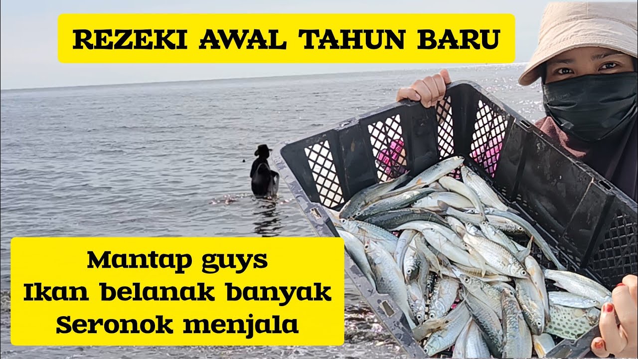 MENJALA DI TEPI PANTAI, IKAN BELANAK BANYAK ⁉️REZEKI AWAL TAHUN BARU
