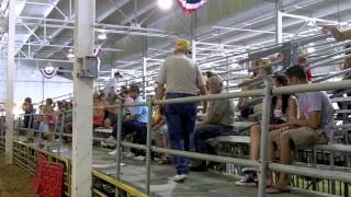 Herman Heads to the Indiana State Fair...again