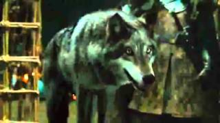 Game of Thrones: Robb Stark - You insult yourself, Kingslayer