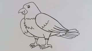Eagle Uqaab Drawing How To Draw A Eagle