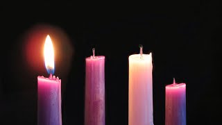 11:00 am Sunday Mass (November 30, 2025) - The First Sunday of Advent