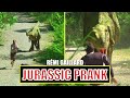 Jurassic prank remi gaillard 