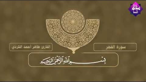 حالات واتس اب تلاوة خاشعة💛 القارئ طاهر احمد الكردي🎧