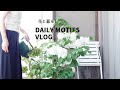 |初夏のベランダ|トマトご飯|お気に入りのキッチンツール|60代ライフスタイル| #60代 #シニアライフ #vlog