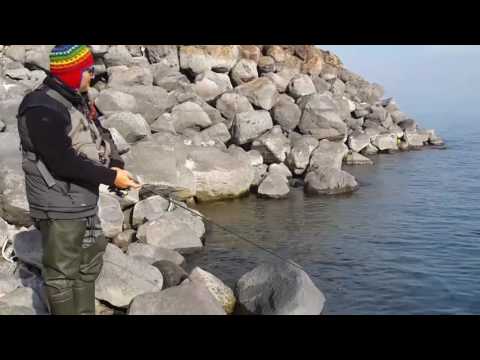 וִידֵאוֹ: דיג בורבוט בחורף - תפיסתו טובה יותר של מי