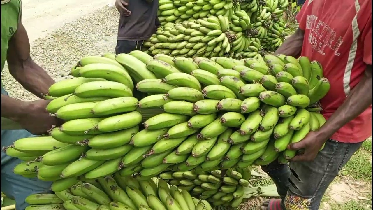 UMUHANDA MUSHYA MU KARERE KA RUTSIRO.