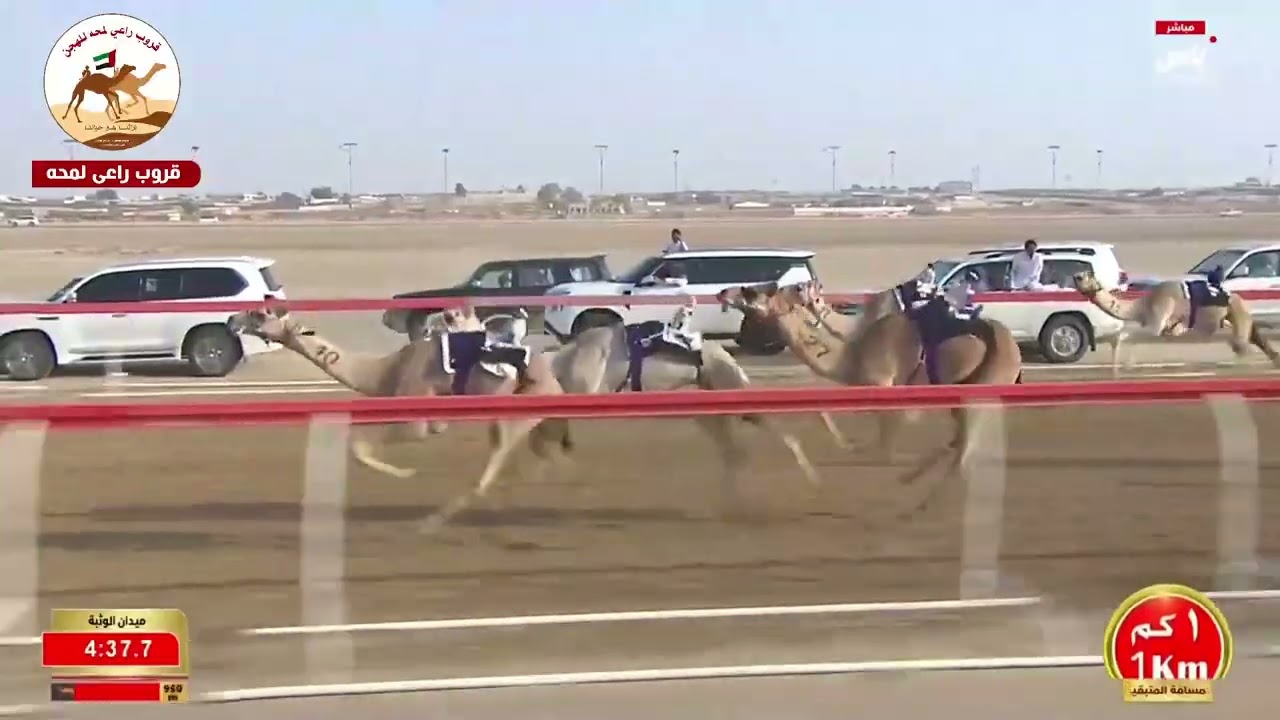 الشوط 8..وسام لـ سالم ثعلوب سالم الدرعي 5:46:46( مهرجان ختامي الوثبة 2026 )