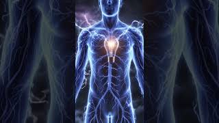 HUMAN POWER