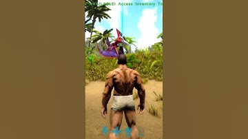 ⬆️ watch the full gameplay video above ⬆️