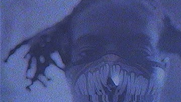 Yung Bans - Preachin (Official Music Video)