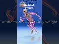 Do you know ? about the bones in skeletal system .🦴🩻. Anatomy facts.