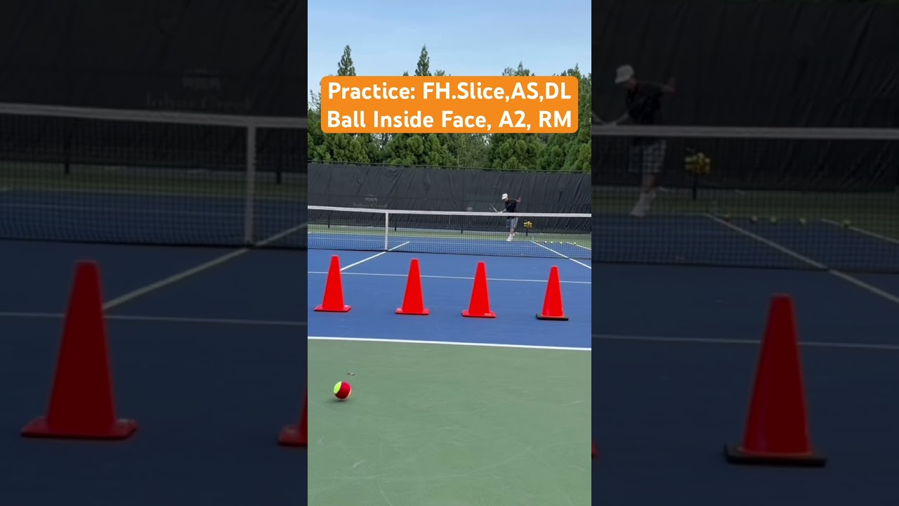 Practice: PreBeginner, DS0, Forehand Slice, Ball Inside Face, @A2, ASL, DL, Regular Motion