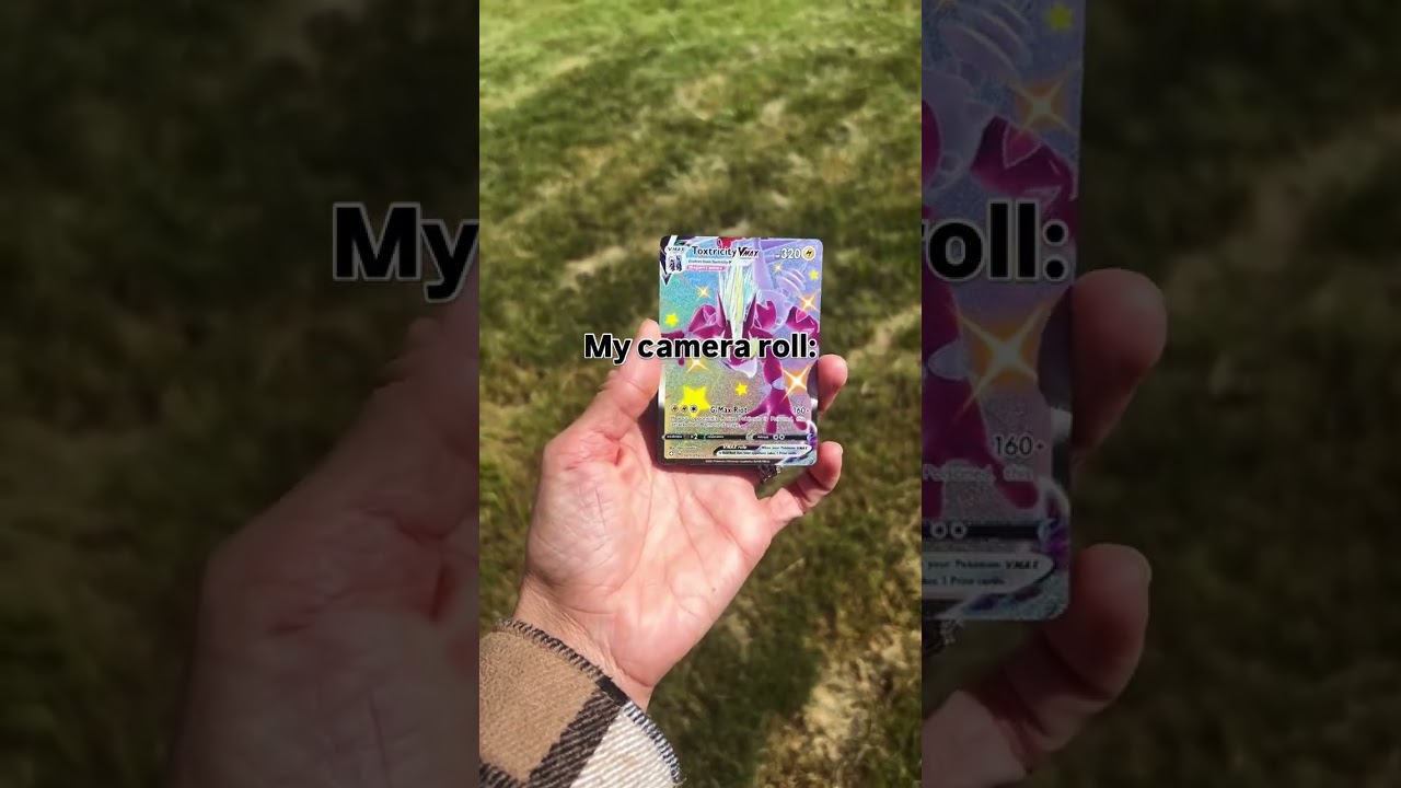 A look at my camera roll 📸 