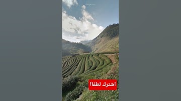 فضل سورة البقرة #القرآن_الكريم