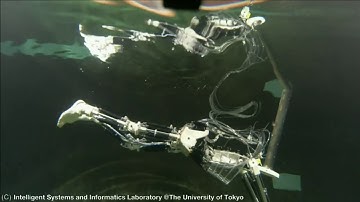 Triton: Musculoskeletal Swimming Robot