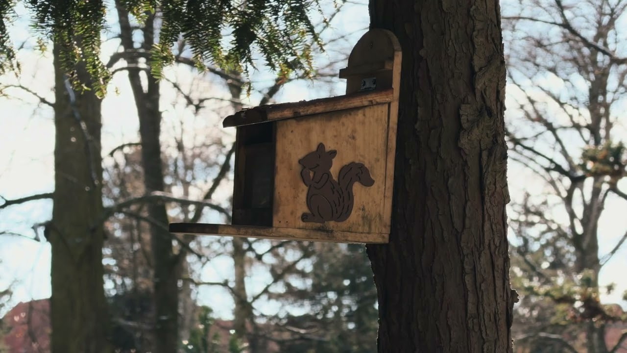 Friedhof Weißensee - iPhone 17 Pro