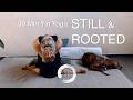 Yin Yoga For Grounding & Stability / 30 Min Yin Yoga
