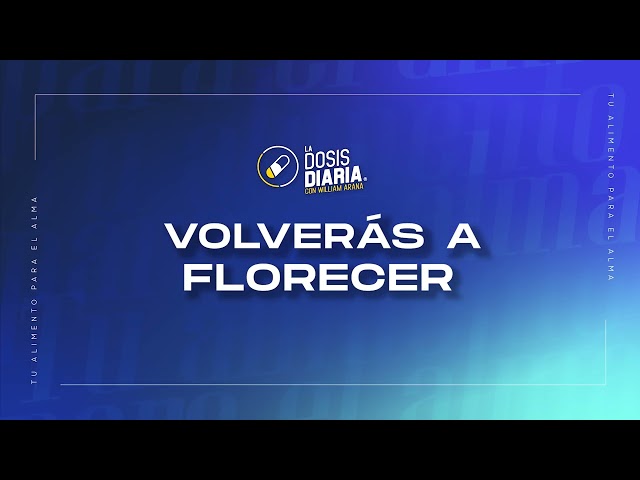 Dosis Diaria Roka - Volverás a florecer