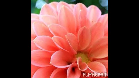 ناصر القطامي ( مقطع من سورة المؤمنون )