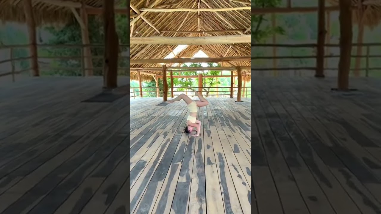 Tulum Jungle Gym Pueblo really lived up to the hype 