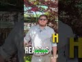 Why The Heights is Little Rock's Dream Address For 100 Years #shorts