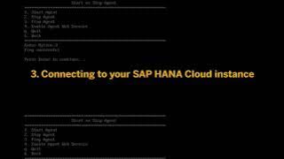 Setting Up and Configuring the Data Provisioning Agent to Connect SAP HANA On Premise to SAP HANA
