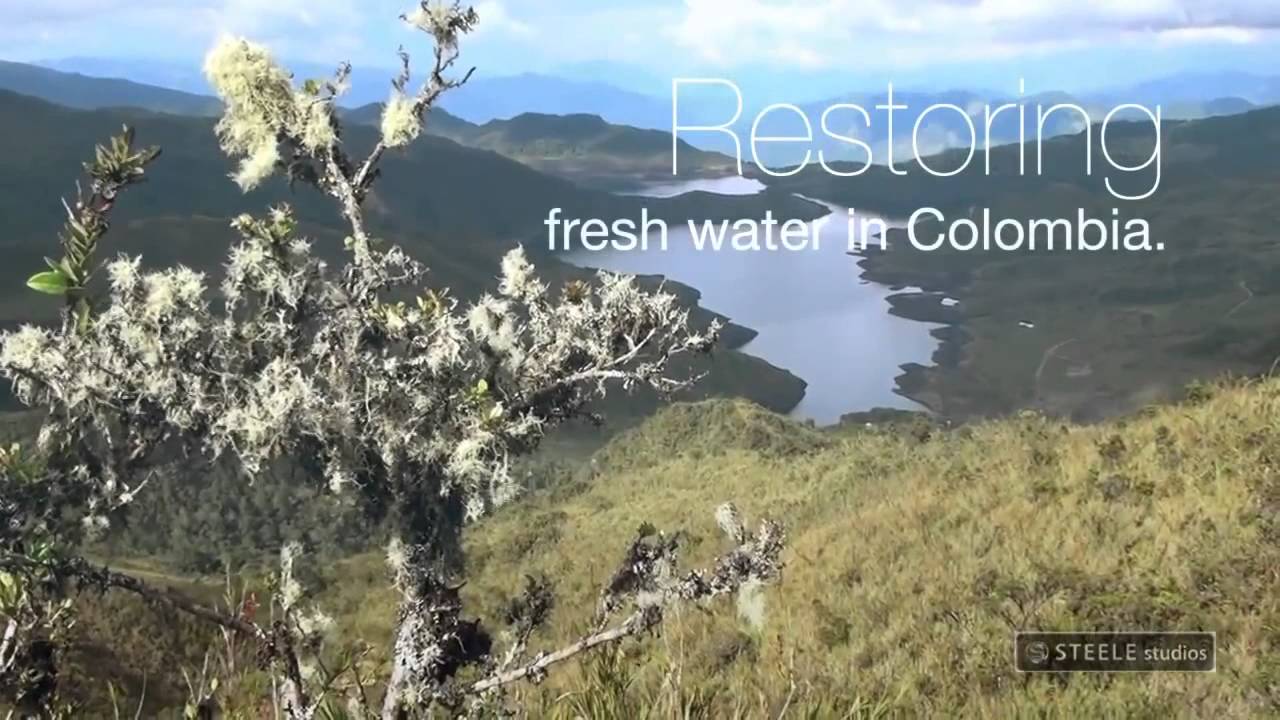 Sony Conservation International