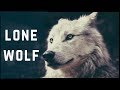 The Advantages of Being a Lone Wolf in Modern Times