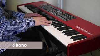 Ribono (Simcha Leiner) Cover