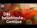 So schmeckt Sommer: Schmidt Max und die Tomate | freizeit | Doku | BR
