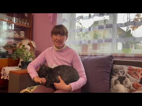 Таня Каганець Історія молодої жінки що присвятила себе порятунку вимираючого села Лубня Закарпаття