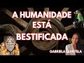 A humanidade est bestificada gabriela quintela